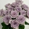 Shocking Blue Rose for sale丨Flower Gardens