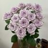 Shocking Blue Rose丨Flower Gardens