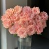 Almond Milk Candy Rose plant丨Flower Gardens