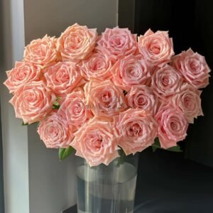 Almond Milk Candy Rose plant丨Flower Gardens