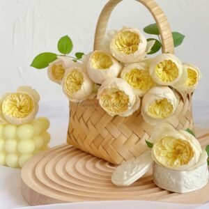 Bird Chirp Rose for sale丨Flower Gardens