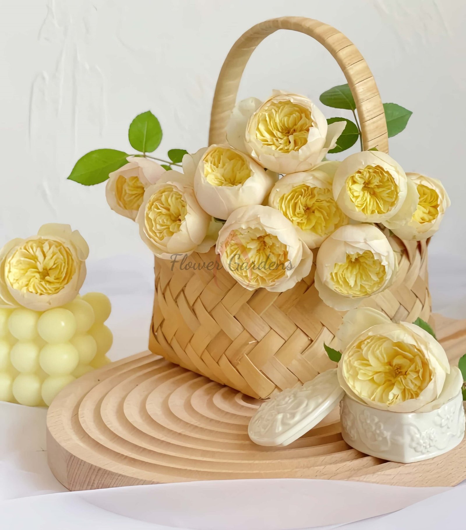 Bird Chirp Rose for sale丨Flower Gardens