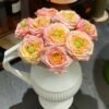 Houdini1 Houdini Rose丨Flower Gardens