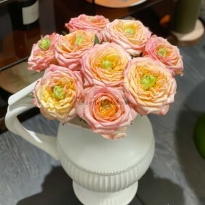 Houdini Rose丨Flower Gardens