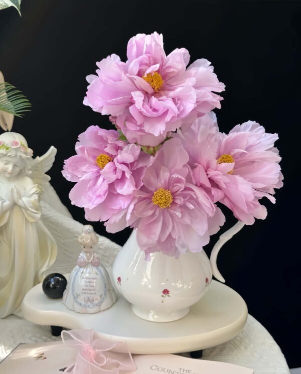 Ling Hua Zhan Lu Peony for sale丨Flower Gardens