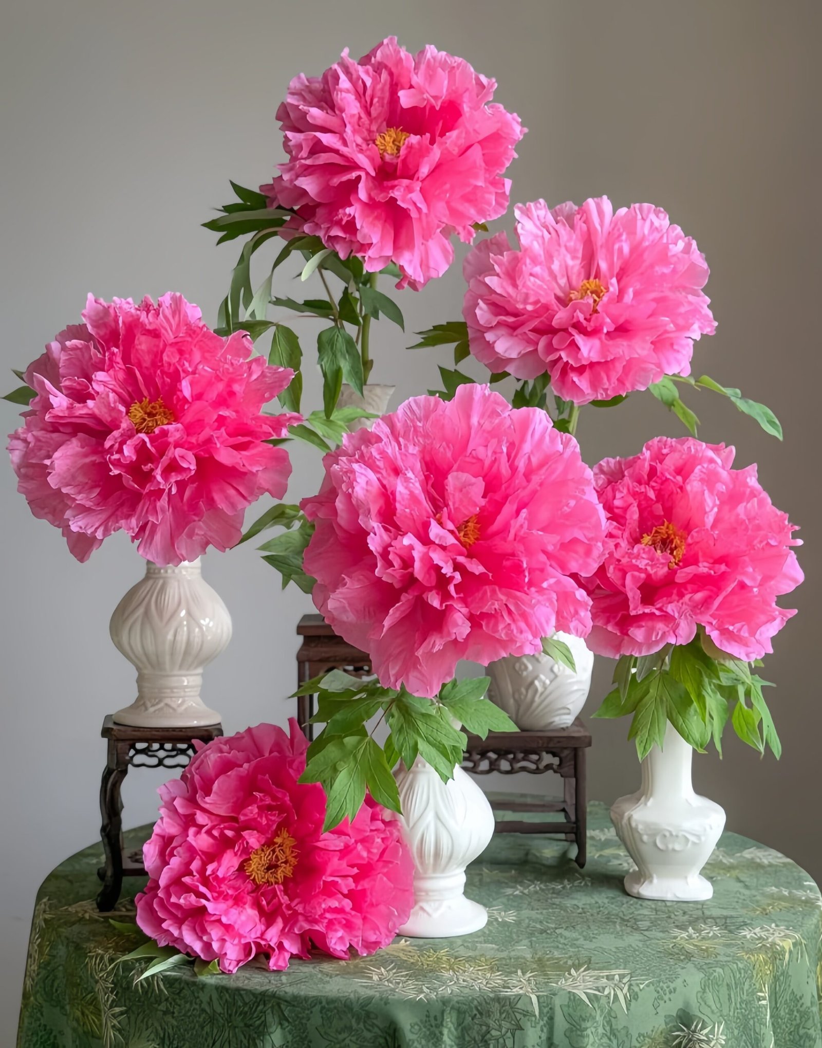 Rising Sun Seen From The Harbor Peony 丨Flower Gardens