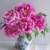 Rou Fu Rong Peony for sale 丨Flower Gardens
