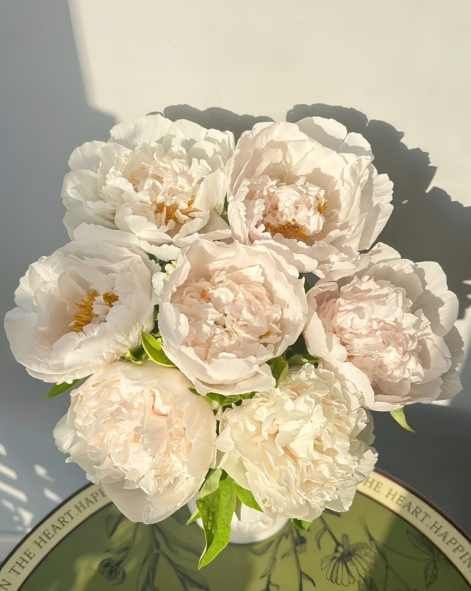 Snowy Pagoda Peony for sale 丨Flower Gardens