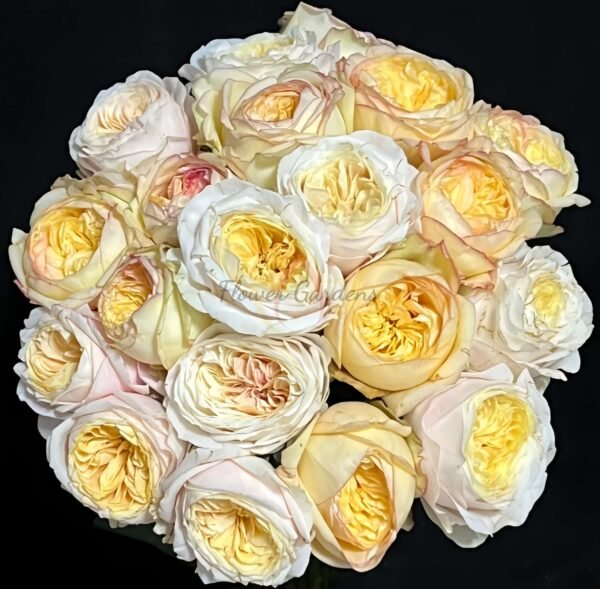Sweet Osmanthus Chestnut Pastry with Rose丨Flower Gardens