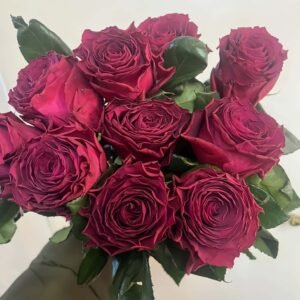 Venturoso Rose plant丨Flower Gardens