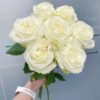 Blanche Elegance Rose for sale丨Flower Gardens