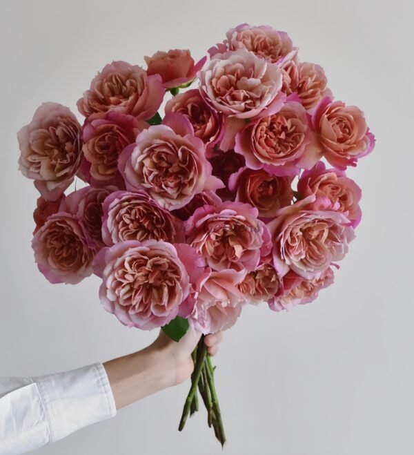 Broderi Rose丨Flower Gardens