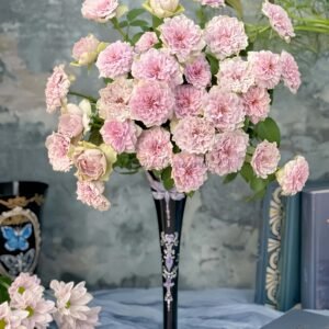 Cofret Rose plant丨Flower Gardens