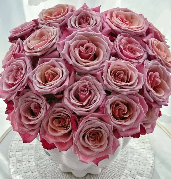 Cold Brew Rose丨Flower Gardens