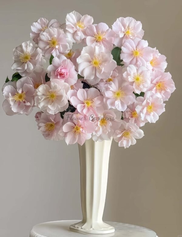 Coup de Coeur Rose丨Flower Gardens