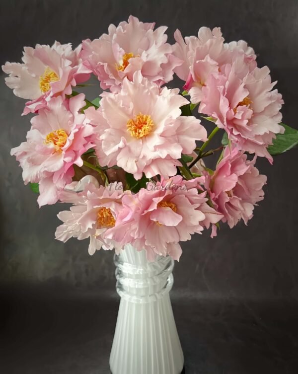 Couture Rose Tilia Rose丨Flower Gardens