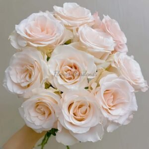 Cynthià Rose丨Flower Gardens