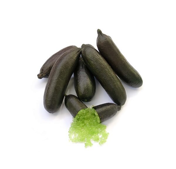 Emerald Finger Lime Tree Plant丨Flower Gardens