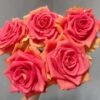 Funky Cold Medina Rose for sale丨Flower Gardens