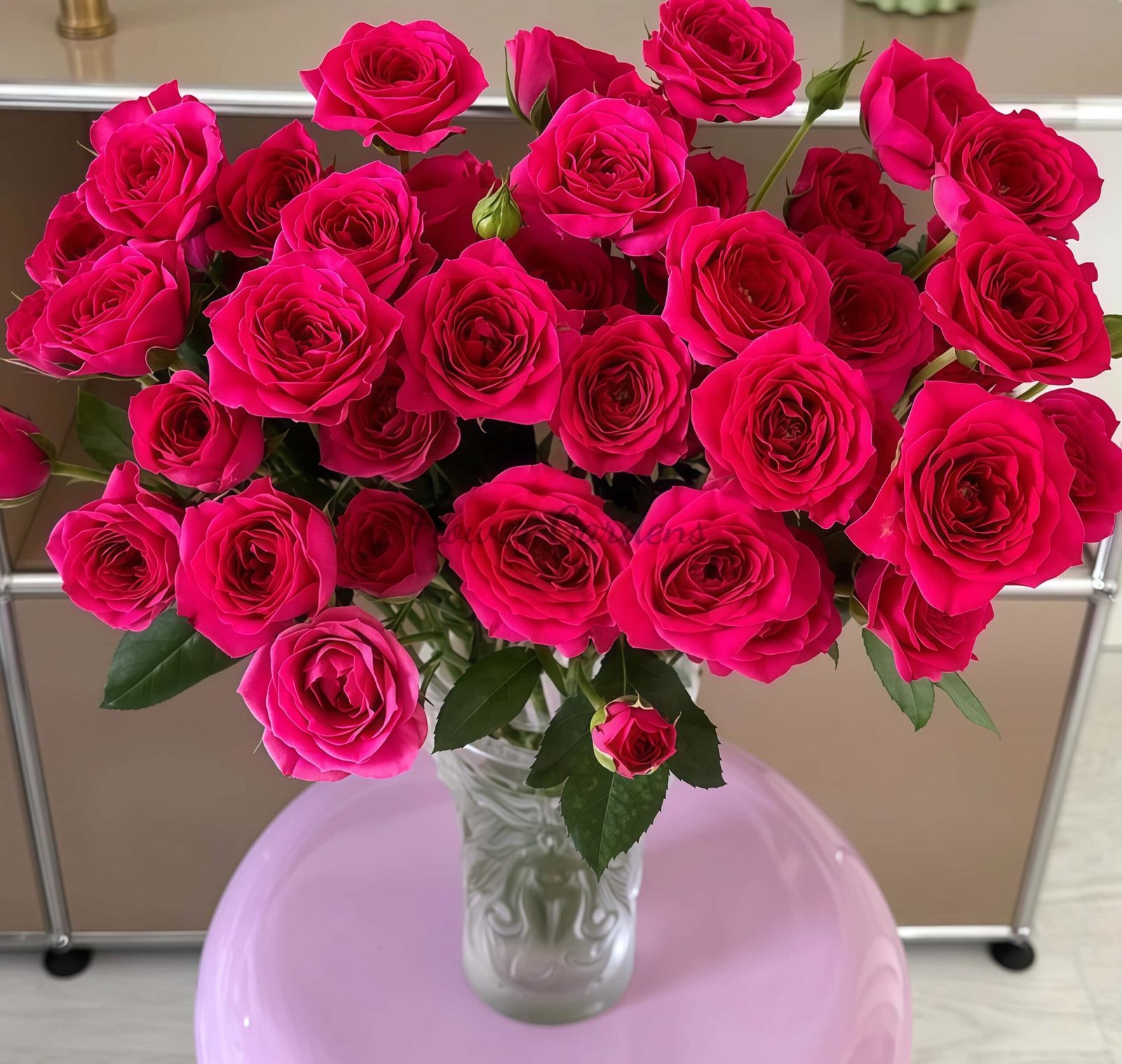 Gem star Rose plant丨Flower Gardens