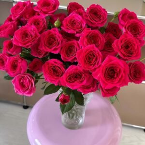 Gem star Rose for sale丨Flower Gardens