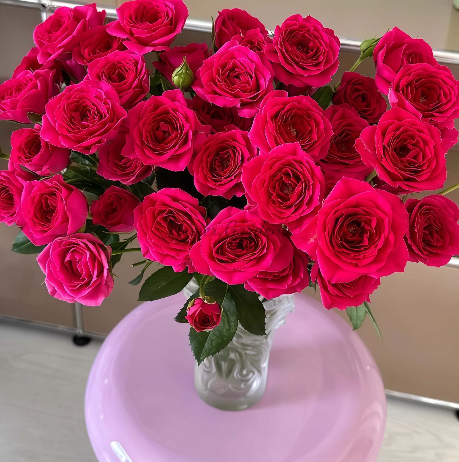 Gem star Rose for sale丨Flower Gardens