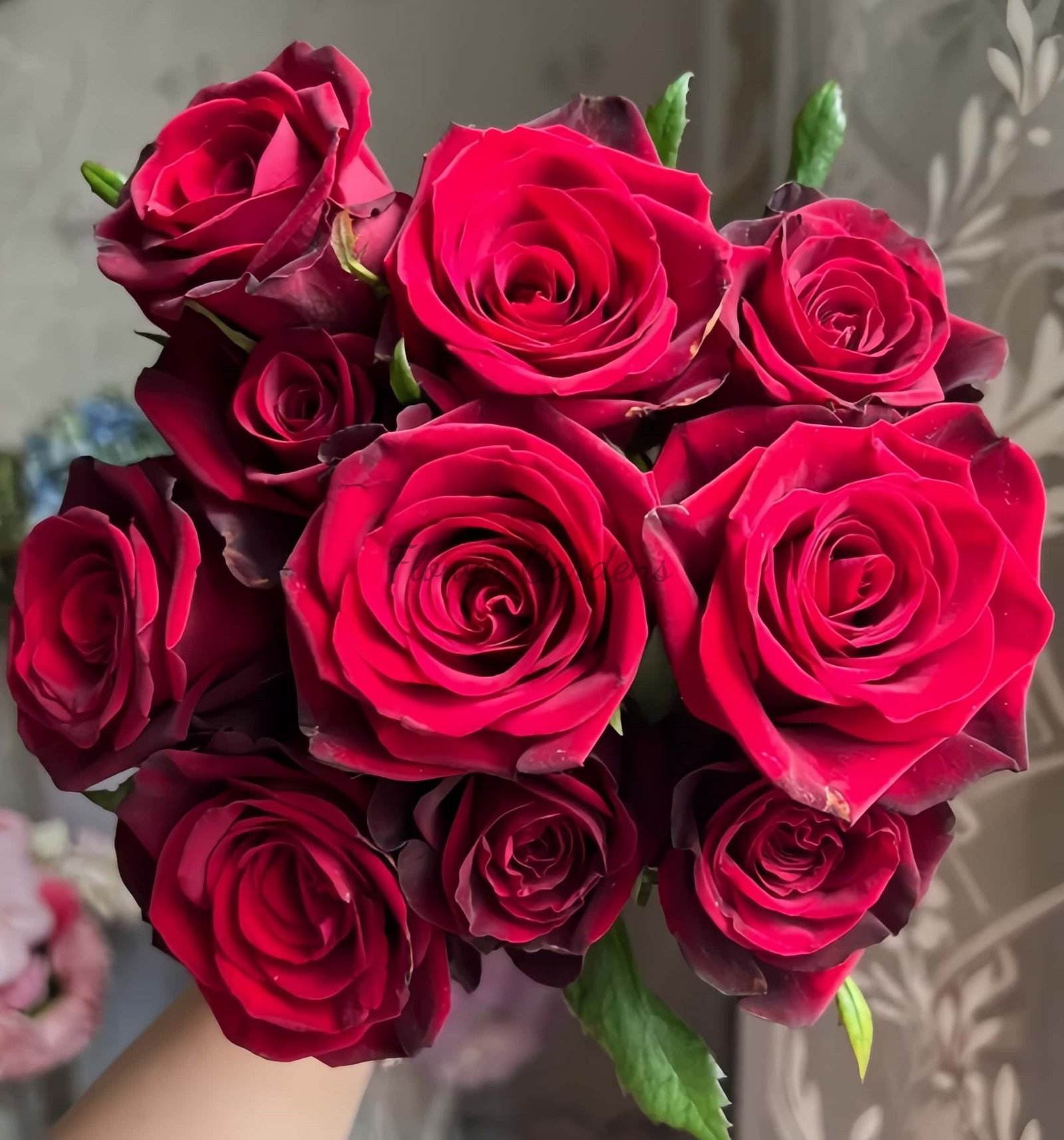 Grand Chateau Rose for sale丨Flower Gardens