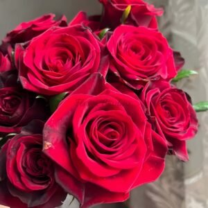 Grand Chateau Rose丨Flower Gardens