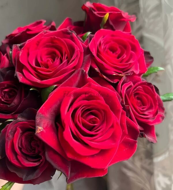 Grand Chateau Rose丨Flower Gardens