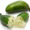 Green Crystal1 Green Crystal Finger Lime Tree Plant丨Flower Gardens