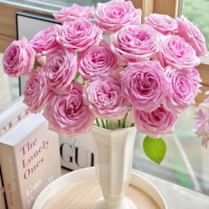 Hera Rose丨Flower Gardens