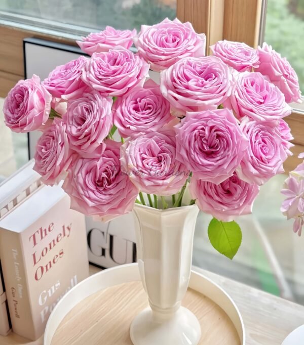 Hera Rose丨Flower Gardens