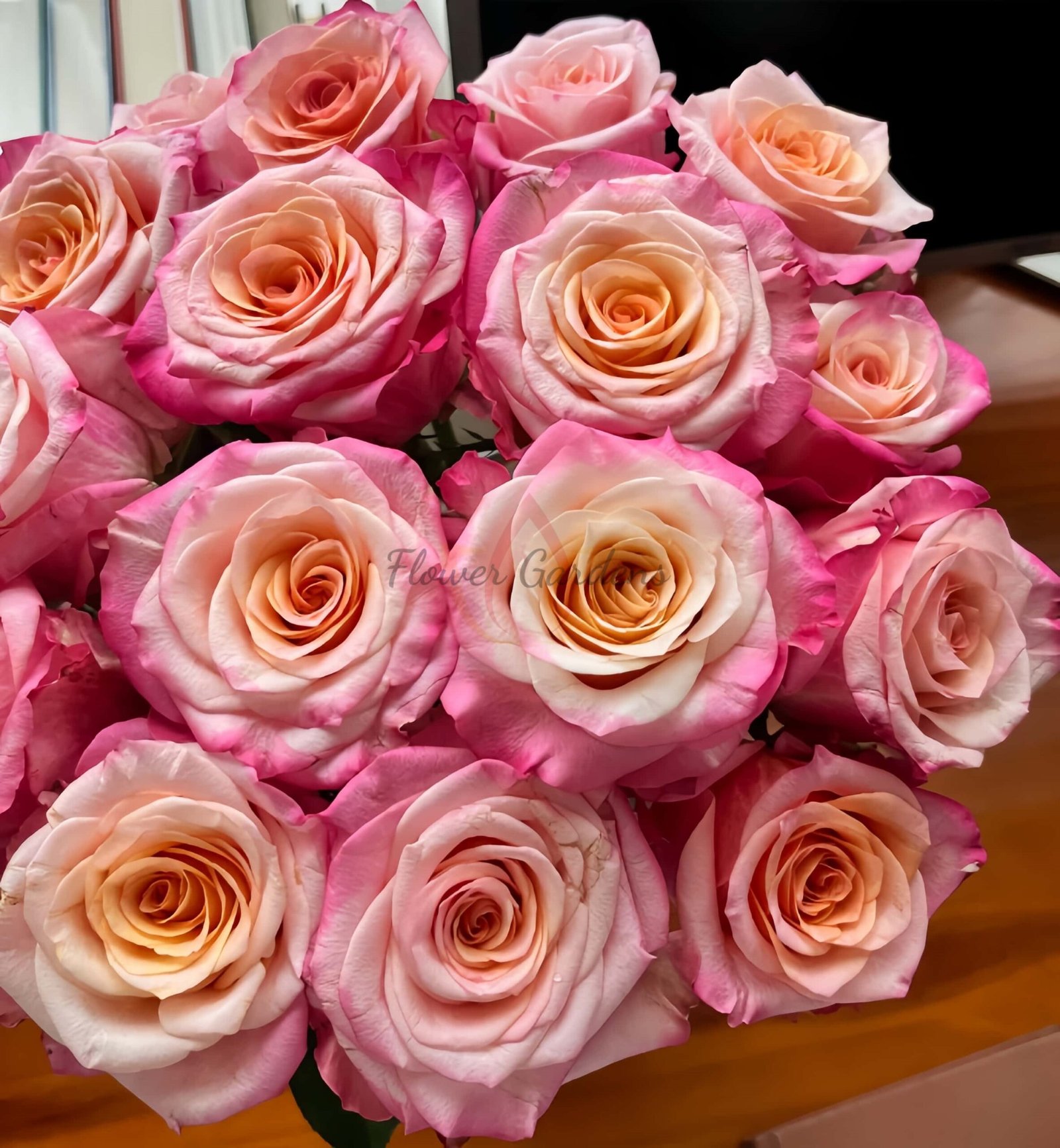 Jabulani Rose丨Flower Gardens