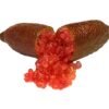 Jali Red2 Jali Red Finger Lime Tree Plant丨Flower Gardens