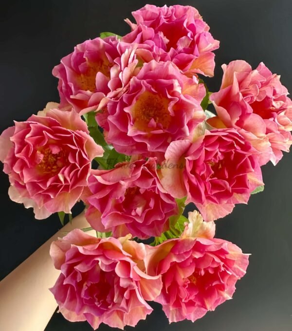 La Parisienne Rose丨Flower Gardens