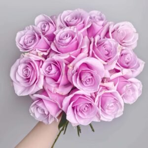 Longgaozhu Rose丨Flower Gardens