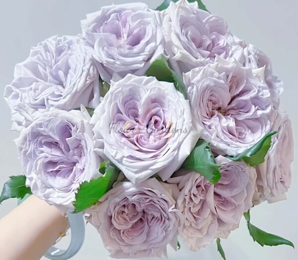 Purple Lychee Rose plant丨Flower Gardens
