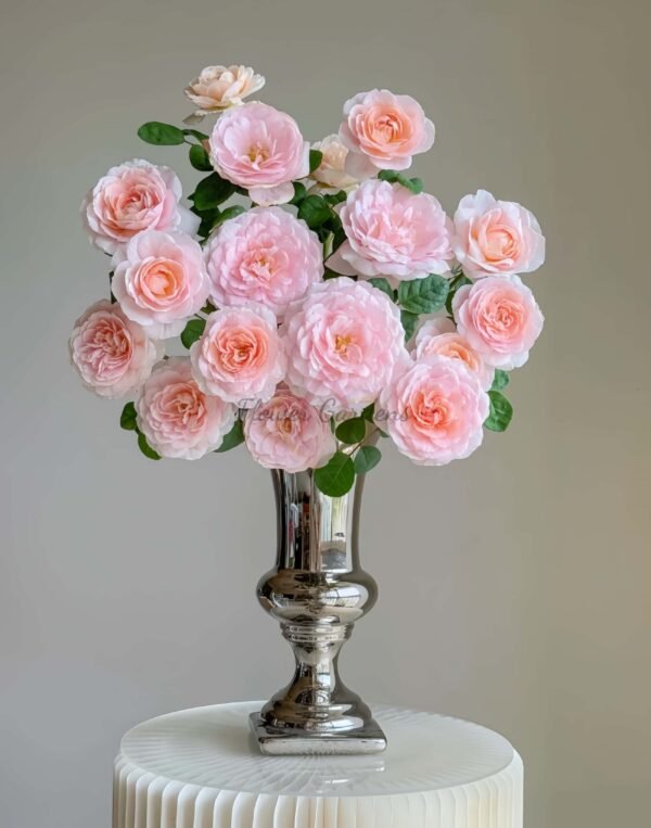 Queen of sweden Rose丨Flower Gardens