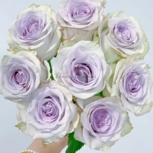 RAIn Dance Rose丨Flower Gardens