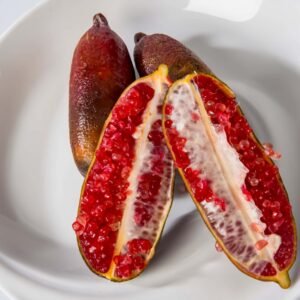 Red Champagne Finger Lime Tree plant丨Flower Gardens