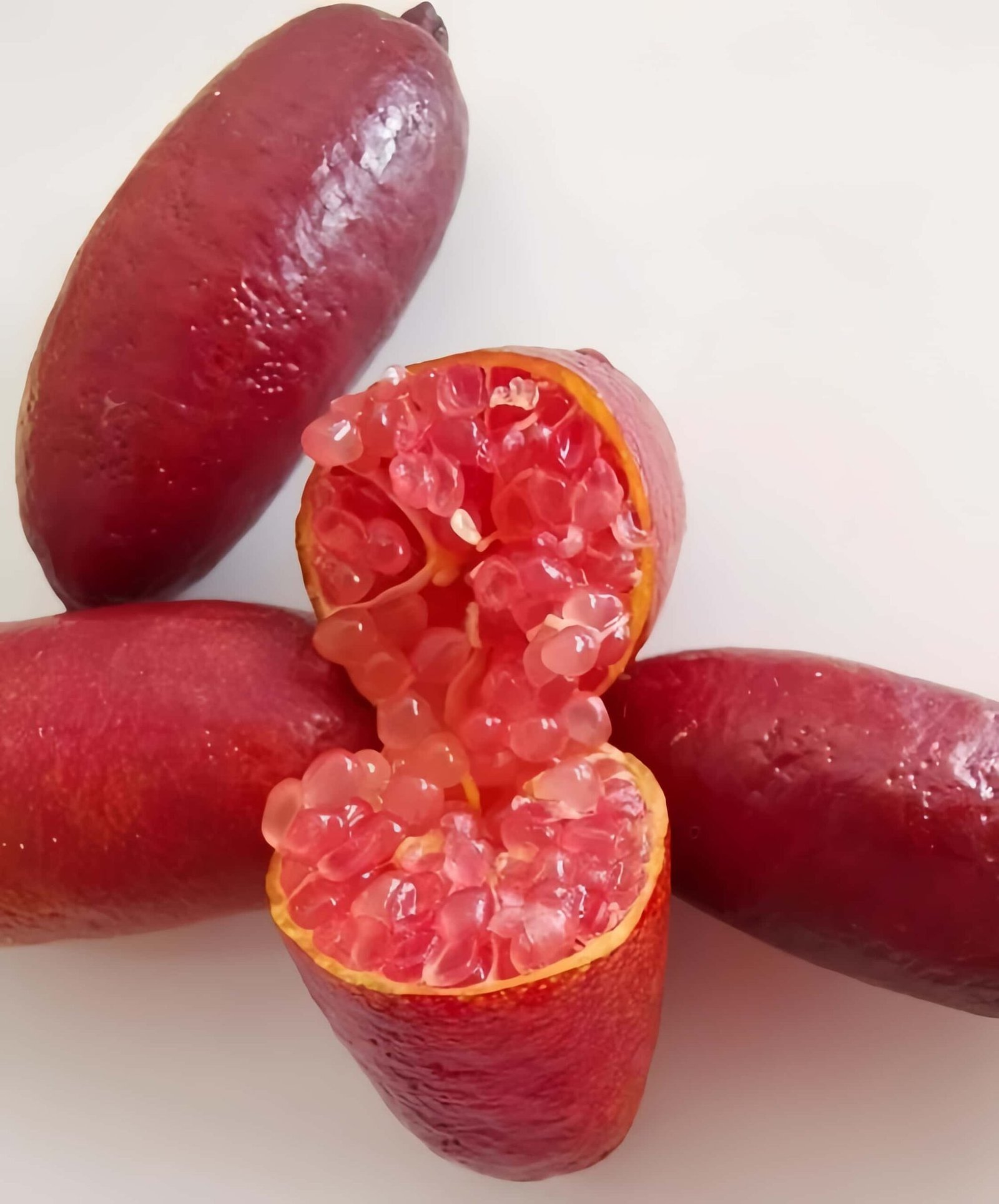 Red Finger Lime Tree Plant丨Flower Gardens