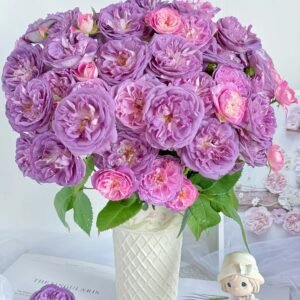 Rinaldo Rose丨Flower Gardens