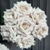 Sliver sand Rose plant丨Flower Gardens