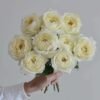 Snowball Forever Rose丨Flower Gardens