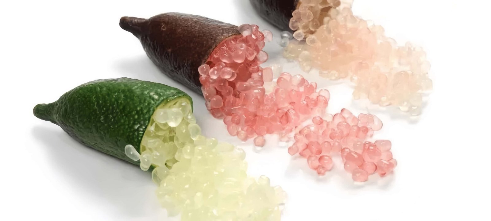 Wauchope Finger Lime Tree Plant for sale丨Flower Gardens