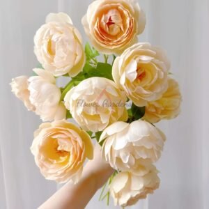 Wollerton Old Hall Rose丨Flower Gardens