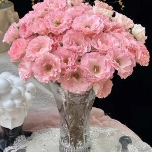 constellation Rose plant丨Flower Gardens