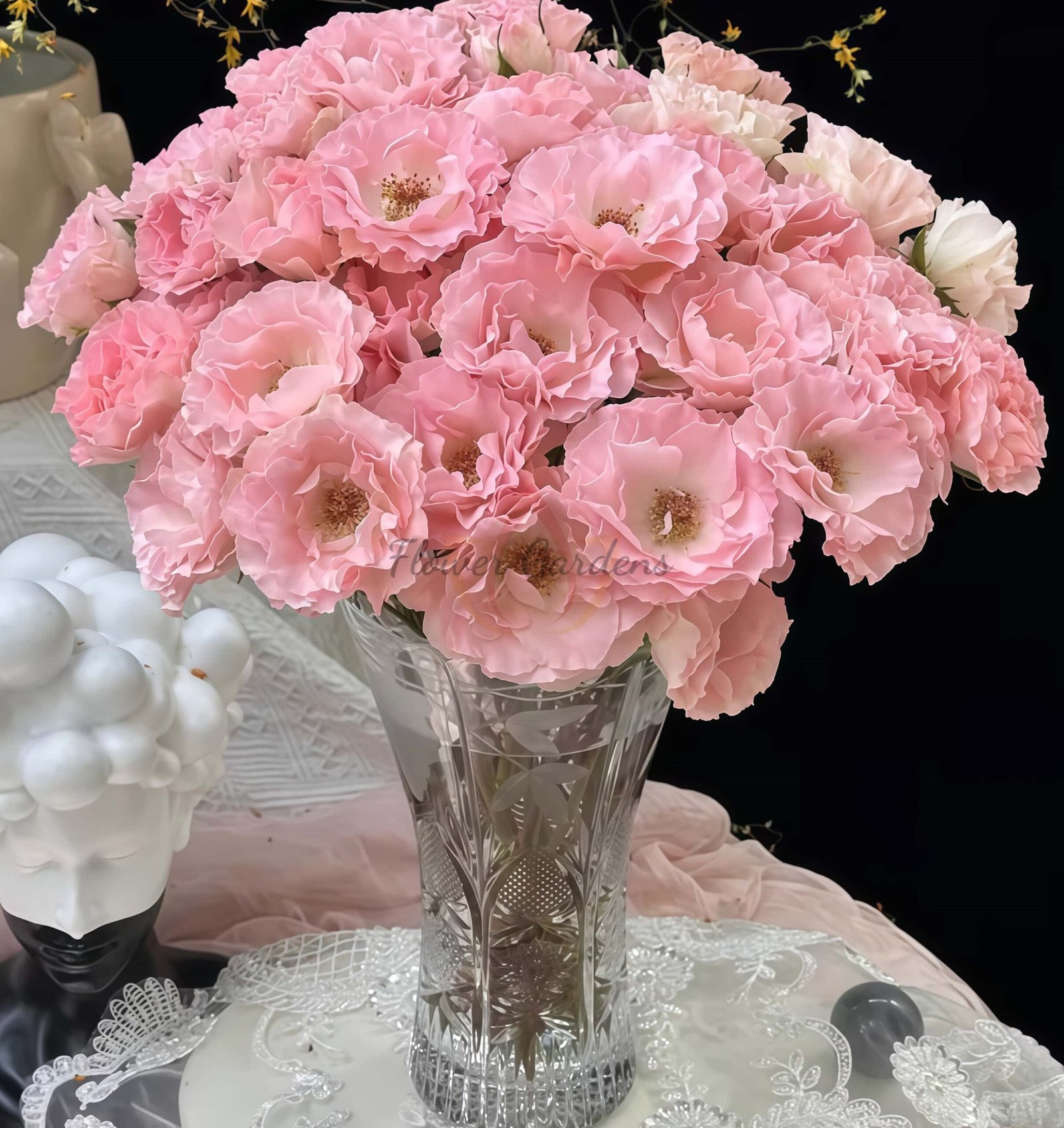 constellation Rose plant丨Flower Gardens