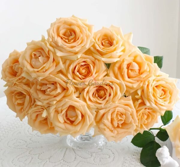 Avalanche Peach Rose丨Flower Gardens