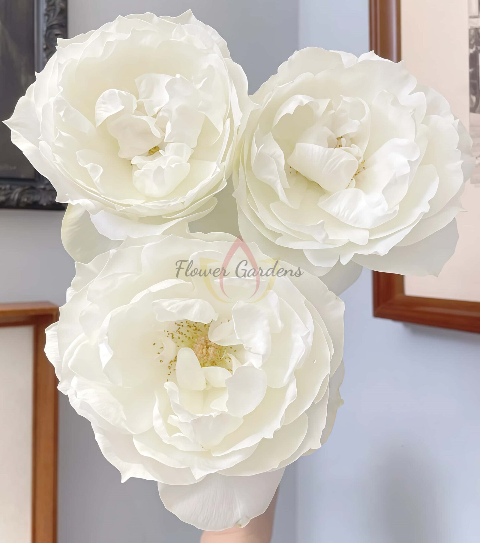 Bourgogne Rose丨Flower Gardens